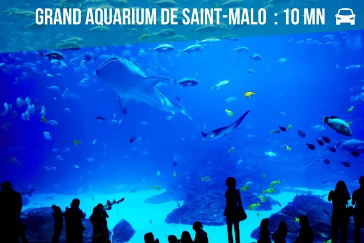 Logement Entier Saint Malo Vue Mer, Proche Ferry, Commerces Et Plage Solidor 50 M Kültér fotó